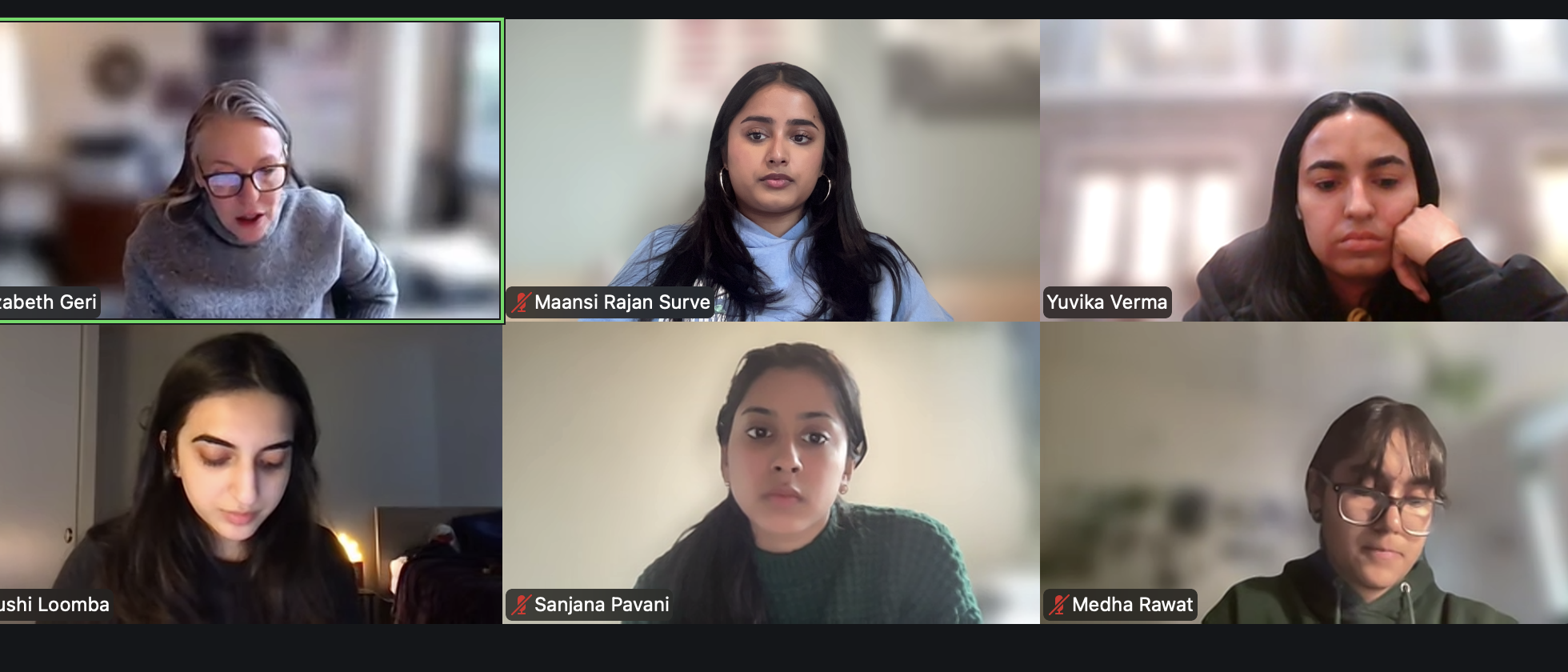 Zoom Call with Stakeholders